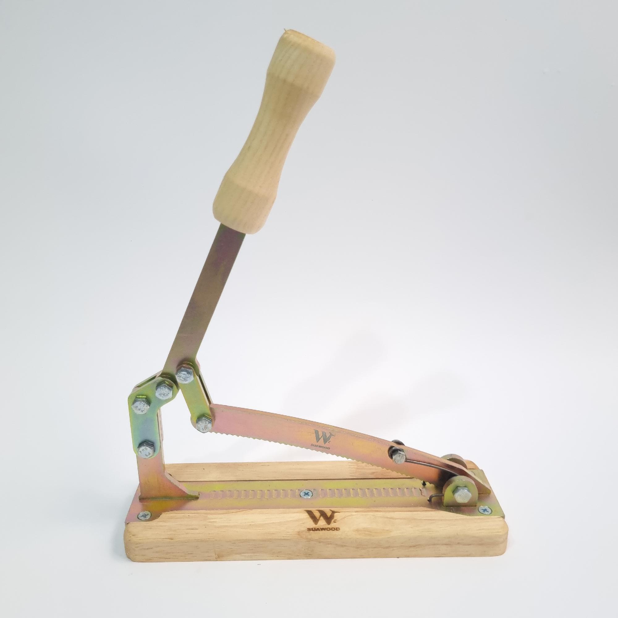 گردوشکن طلایی رنگین کمانی